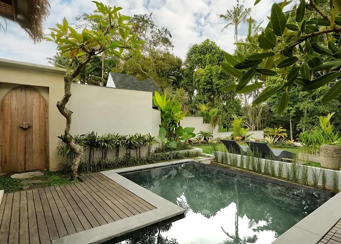 Changi Jungle Ubud