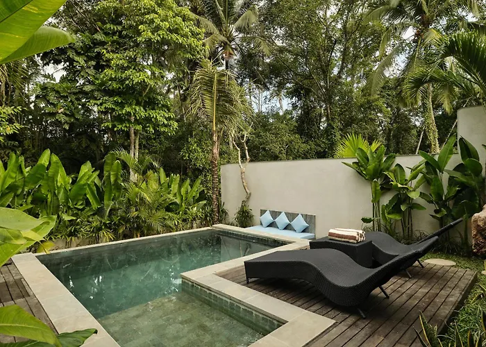 Villa Changi Jungle