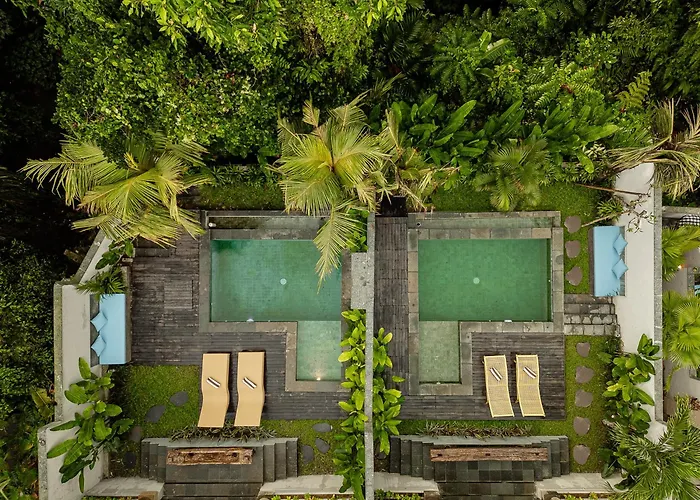 Changi Jungle Villa
