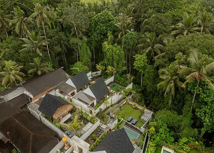 Changi Jungle