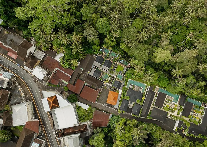 Changi Jungle Villa *